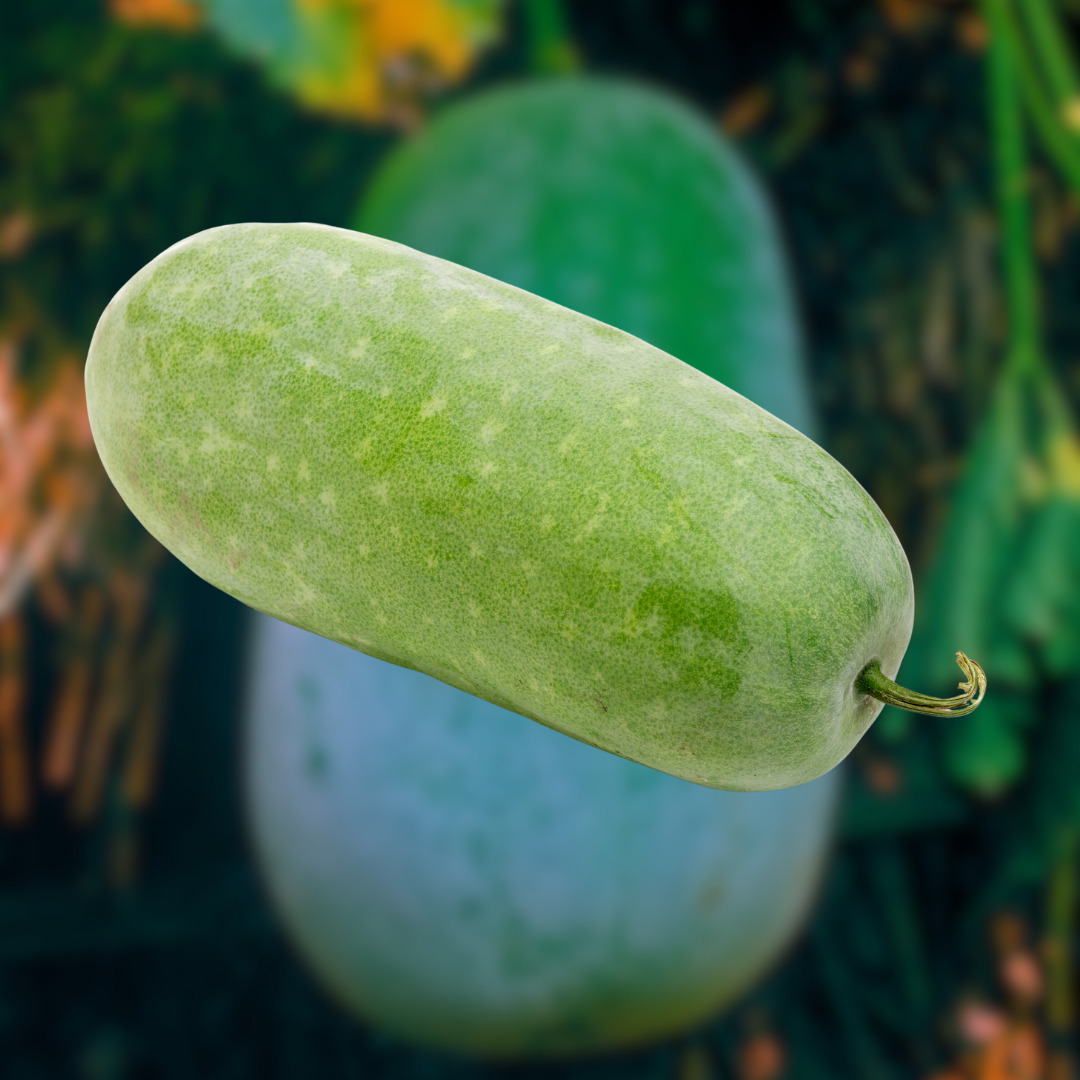 Jali kumura (জলি কুমুৰা)